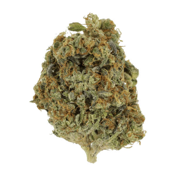 Sunset Sherbert | CannaBlossom Canada