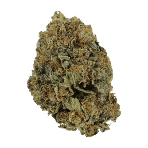 White Shark – 1 ounce | CannaBlossom Canada