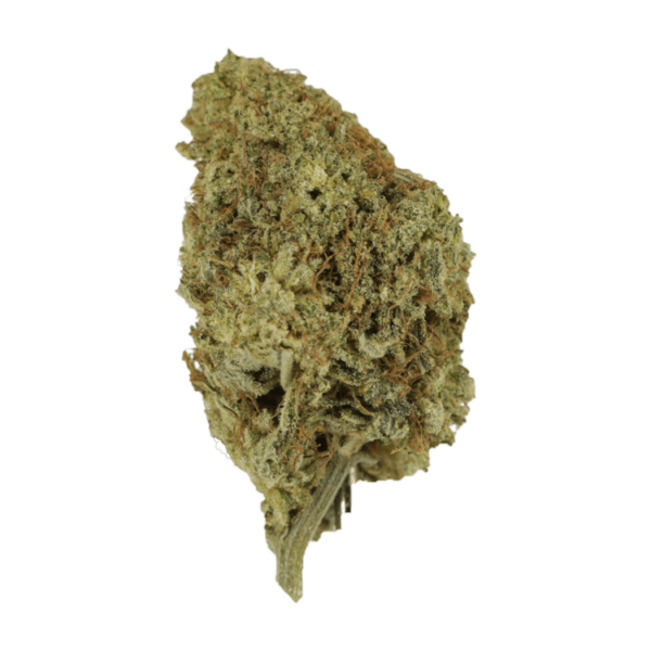 Pineapple Kush | CannaBlossom Canada