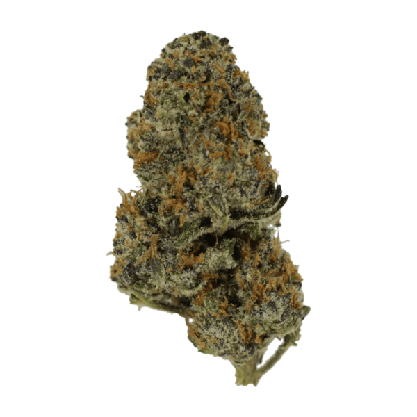 Pineapple Kush | CannaBlossom Canada