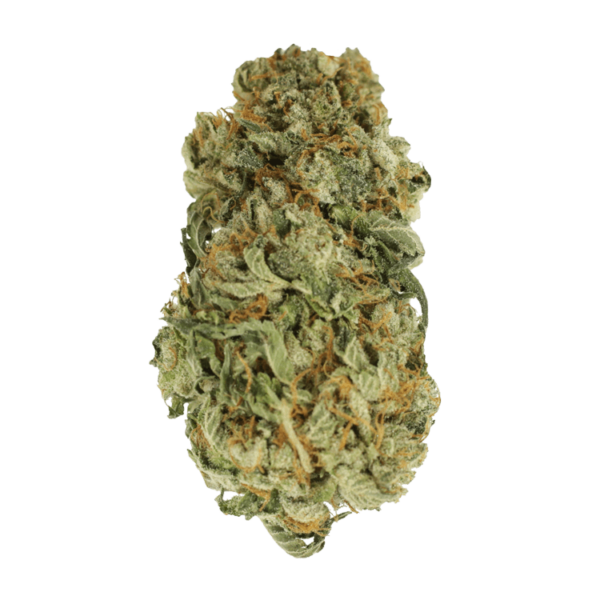 King Louis – 1 ounce | CannaBlossom Canada