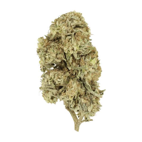 Cherry Wine (CBD) | CannaBlossom Canada