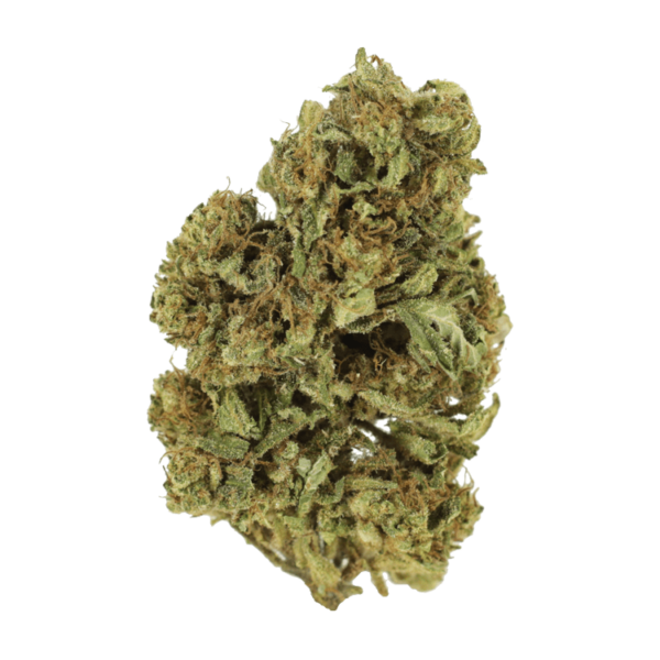 Cherry Wine (CBD) | CannaBlossom Canada