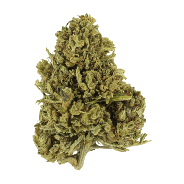 Cherry Wine (CBD) | CannaBlossom Canada