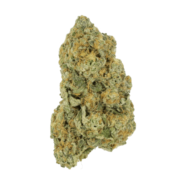 Black Cherry Punch | CannaBlossom Canada