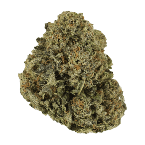 Blue Haze | CannaBlossom Canada