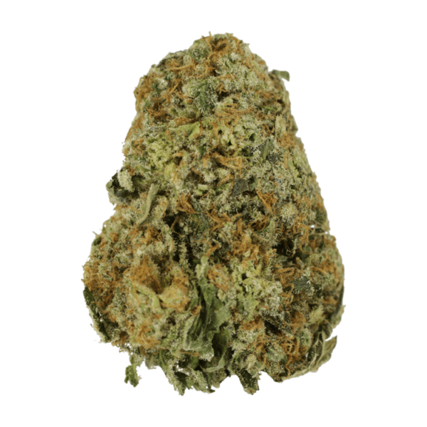 High School Sweetheart | CannaBlossom Canada
