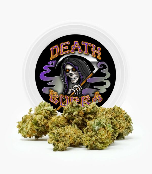 Westcoast Cali Tins – Premium Flower – Skywalker OG – 3.5g | CannaBlossom Canada