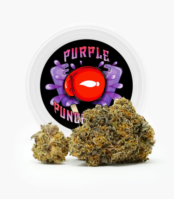 Westcoast Cali Tins – Premium Flower – Purple Punchsicle – 14g | CannaBlossom Canada