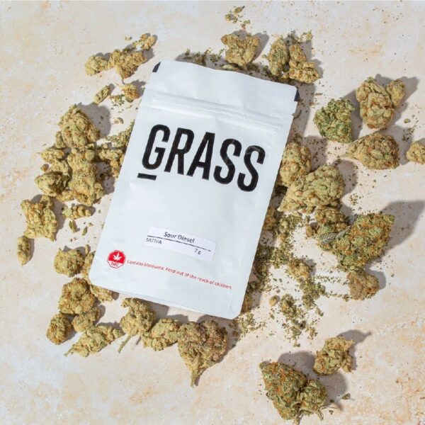 1/2OZ Sample Pack (AAA) – SAVE 20% | CannaBlossom Canada