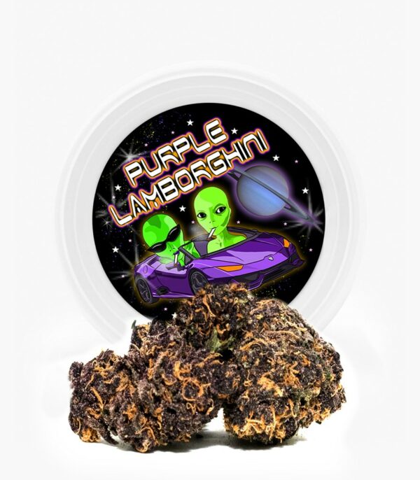Westcoast Cali Tins – Premium Flower – Purple Lamborghini – 3.5g | CannaBlossom Canada