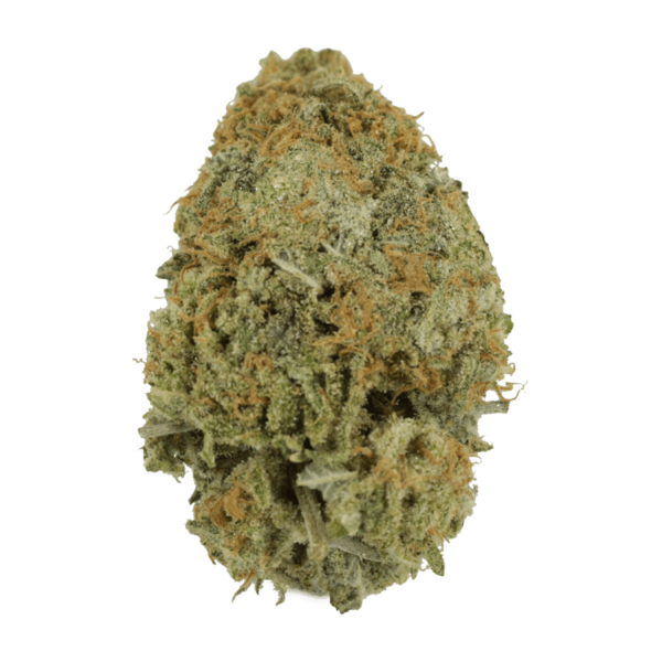 Pink Tuna (Popcorn) – $40/oz | CannaBlossom Canada