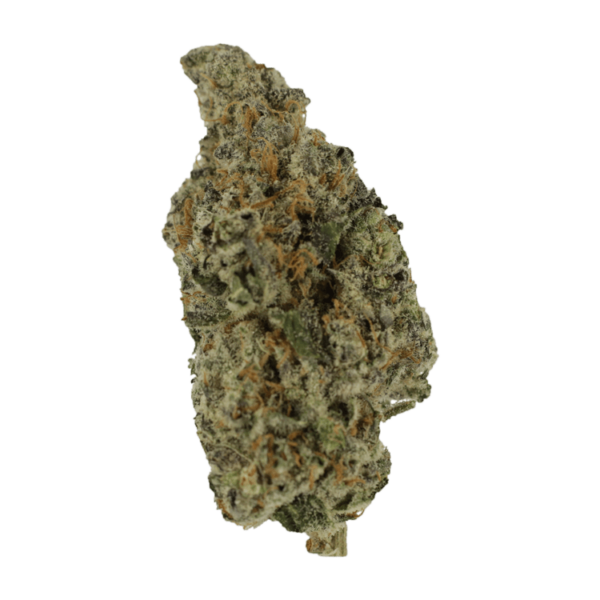Biscotti Sundae | CannaBlossom Canada