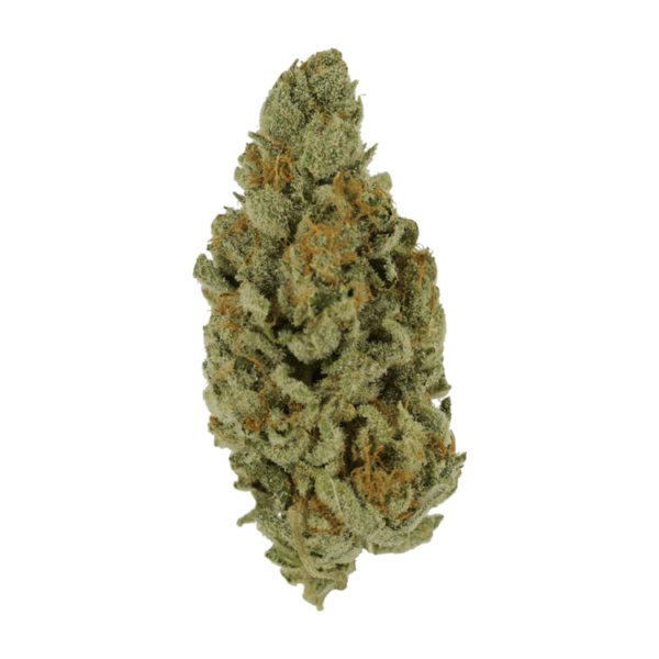 Captain Crunch | CannaBlossom Canada