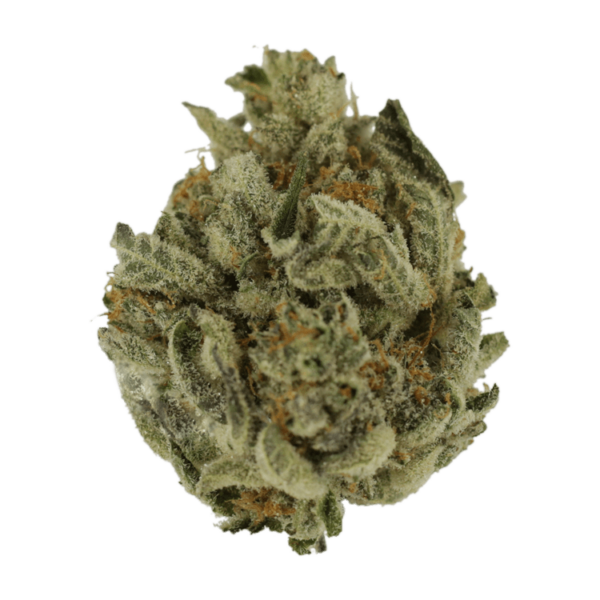 Biscotti Sundae | CannaBlossom Canada