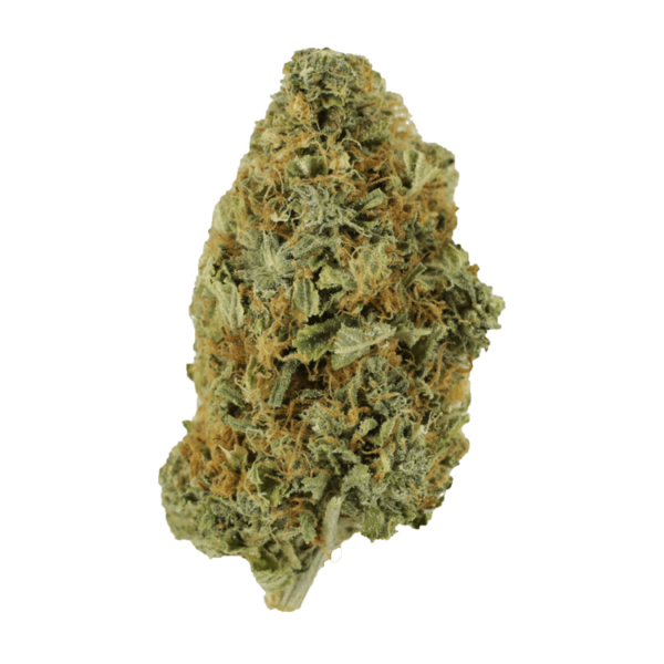 Purple Tuna – 1 ounce | CannaBlossom Canada