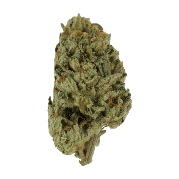 Biscotti Sundae | CannaBlossom Canada