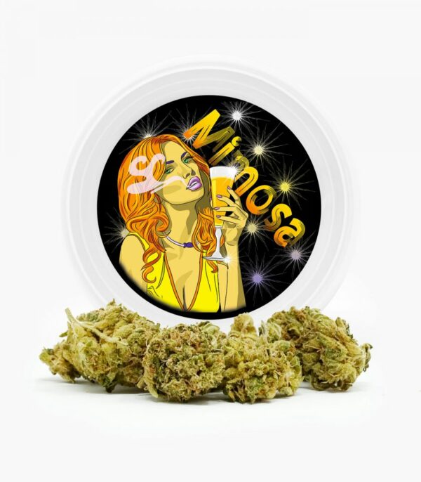 Westcoast Cali Tins – Premium Flower – Mimosa – 3.5g | CannaBlossom Canada