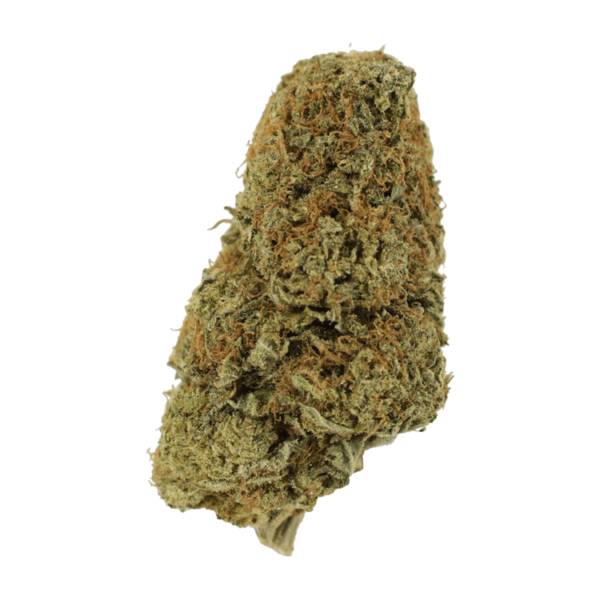 Sugar Pine | CannaBlossom Canada