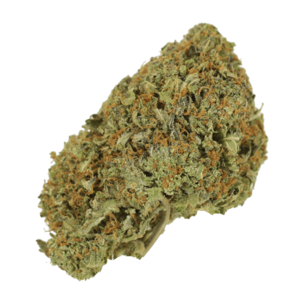 Garlic Breath – 1oz / $60 | CannaBlossom Canada