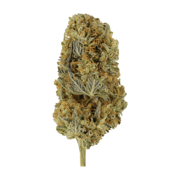 Headband | CannaBlossom Canada