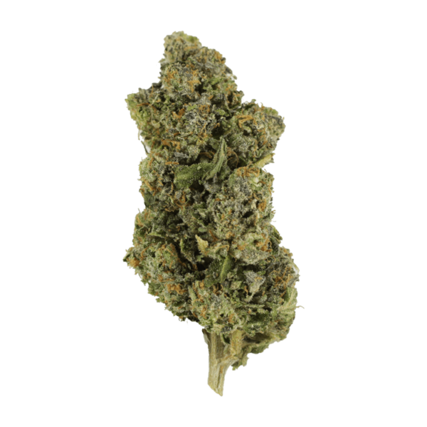 Jokerz | CannaBlossom Canada