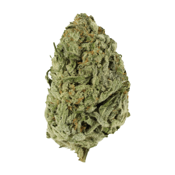 Lemon Meringue 1 Ounce | CannaBlossom Canada