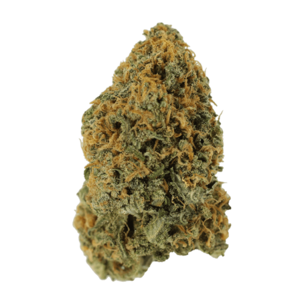 Lemon Sour Diesel | CannaBlossom Canada