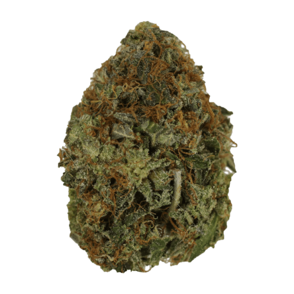Orange Romulan | CannaBlossom Canada
