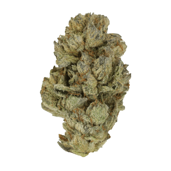 Pink Candy Kush | CannaBlossom Canada