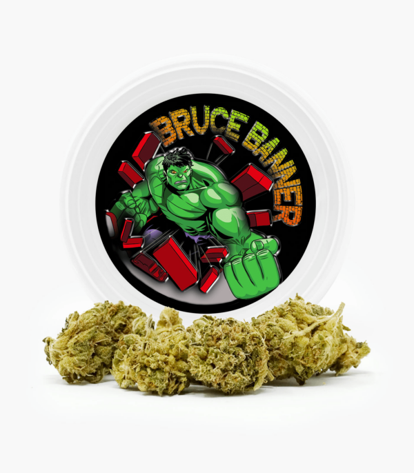 Westcoast Cali Tins – Premium Flower – Mendo Breath – 14g | CannaBlossom Canada