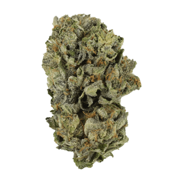 Cerebro Haze | CannaBlossom Canada