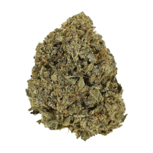 G13 | CannaBlossom Canada