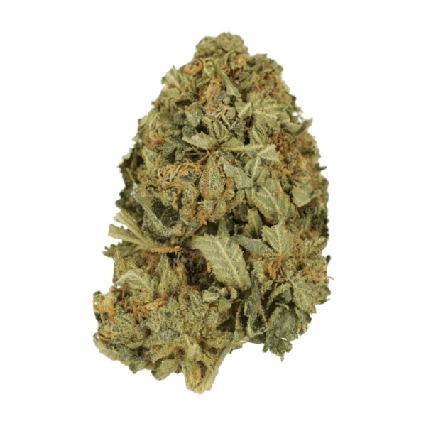 G13 | CannaBlossom Canada