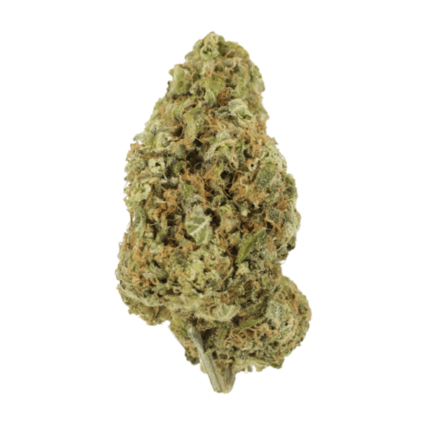 Sour Jack | CannaBlossom Canada
