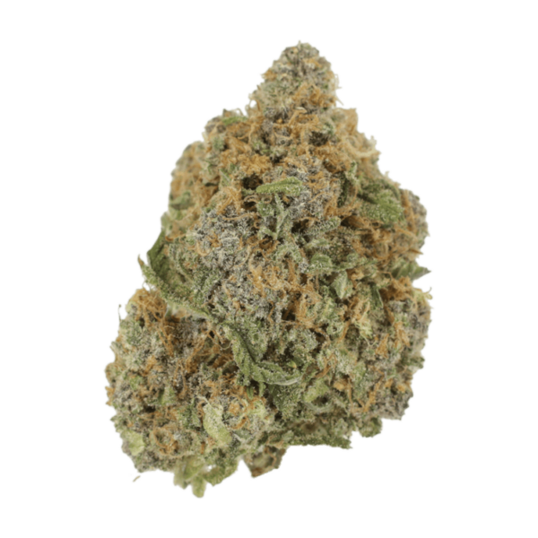 Jagermeister | CannaBlossom Canada