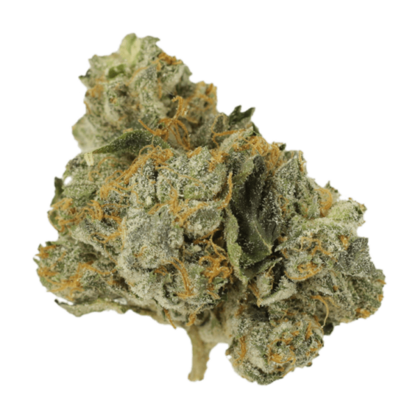 Mango Cream | CannaBlossom Canada
