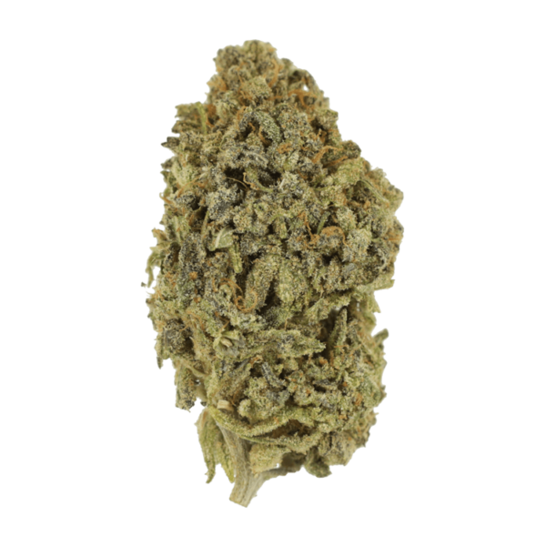 Watermelon Gelato | CannaBlossom Canada