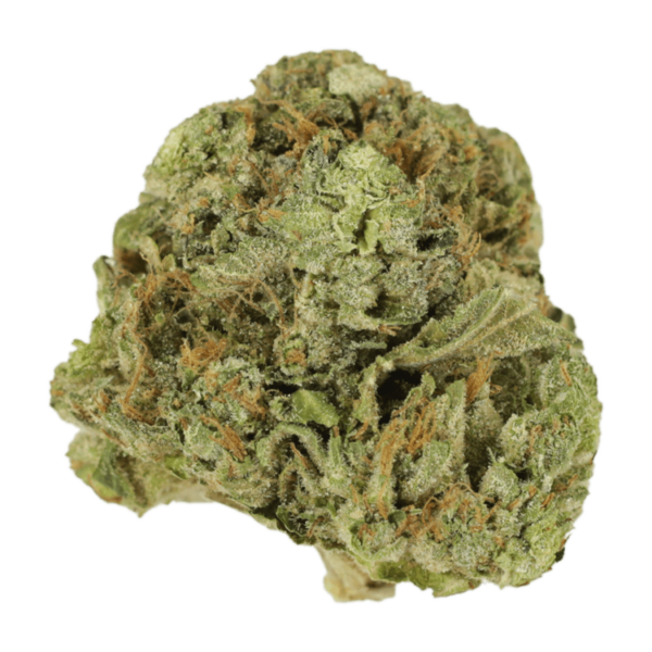 Mango Cream | CannaBlossom Canada