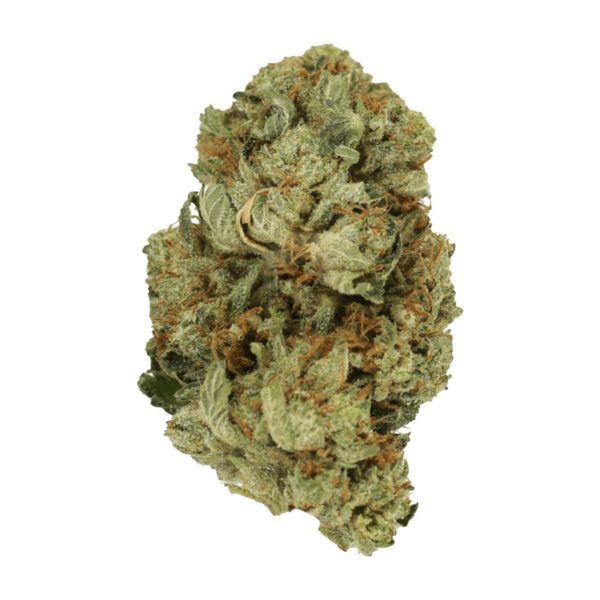 Pink Starburst | CannaBlossom Canada