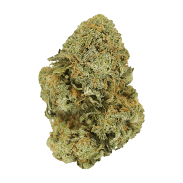 Watermelon Gelato | CannaBlossom Canada