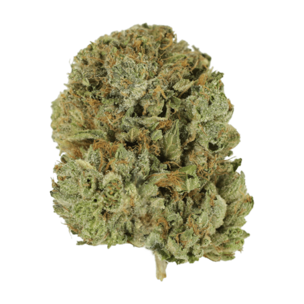 Pink Taco | CannaBlossom Canada