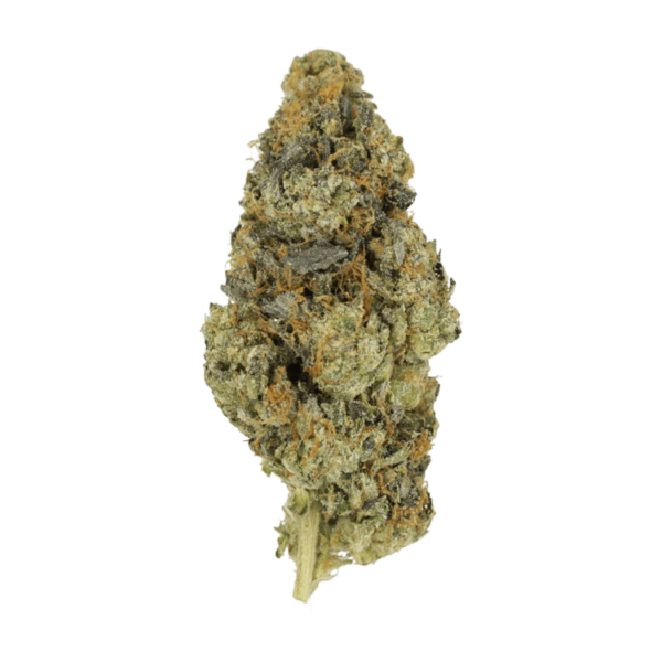 DoSi Face | CannaBlossom Canada