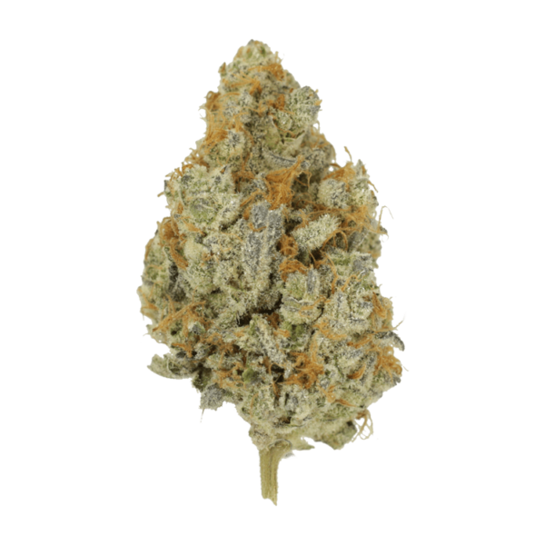 Peanut Butter Rockstar | CannaBlossom Canada