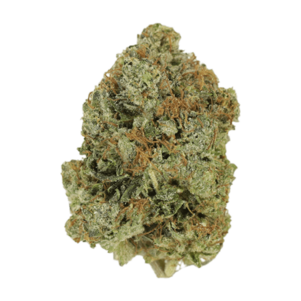 Jack Herer (popcorn) | CannaBlossom Canada