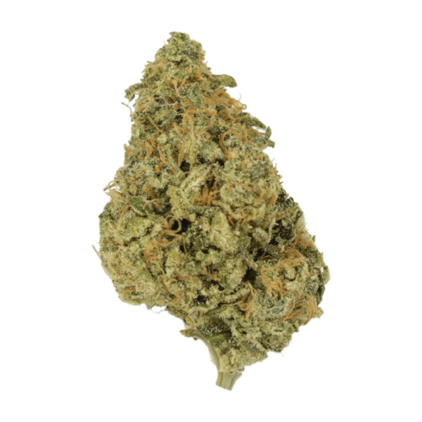 OG Lemon Haze | CannaBlossom Canada