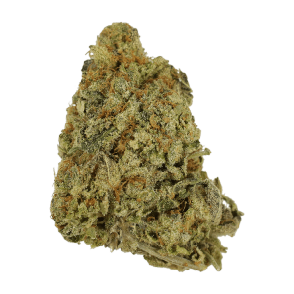 G Whiz | CannaBlossom Canada