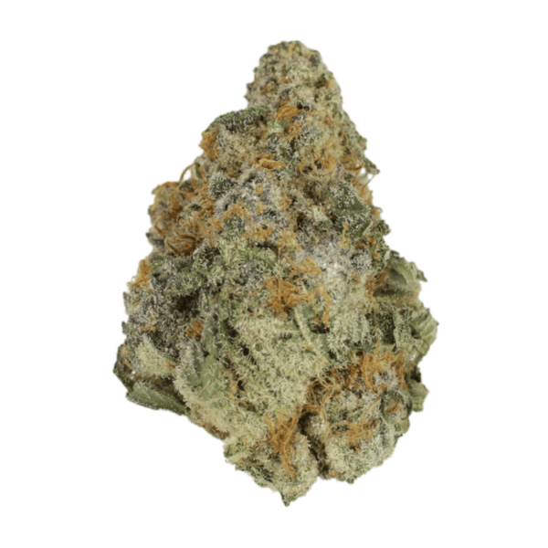 Purple Hindu Kush | CannaBlossom Canada