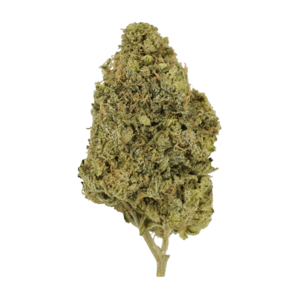Blunicorn | CannaBlossom Canada