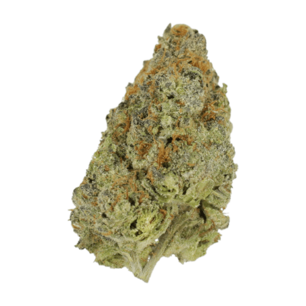 Lilac Diesel | CannaBlossom Canada